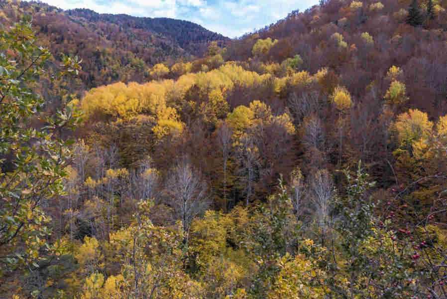 Huesca - valle de Vio 04.jpg